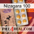Nizagara 100 41